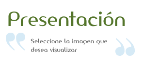 Presentación - Seleccione la imagen que desea visualizar