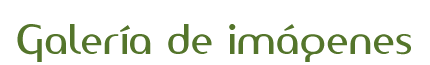 Galer&iacute;a de im&aacute;genes